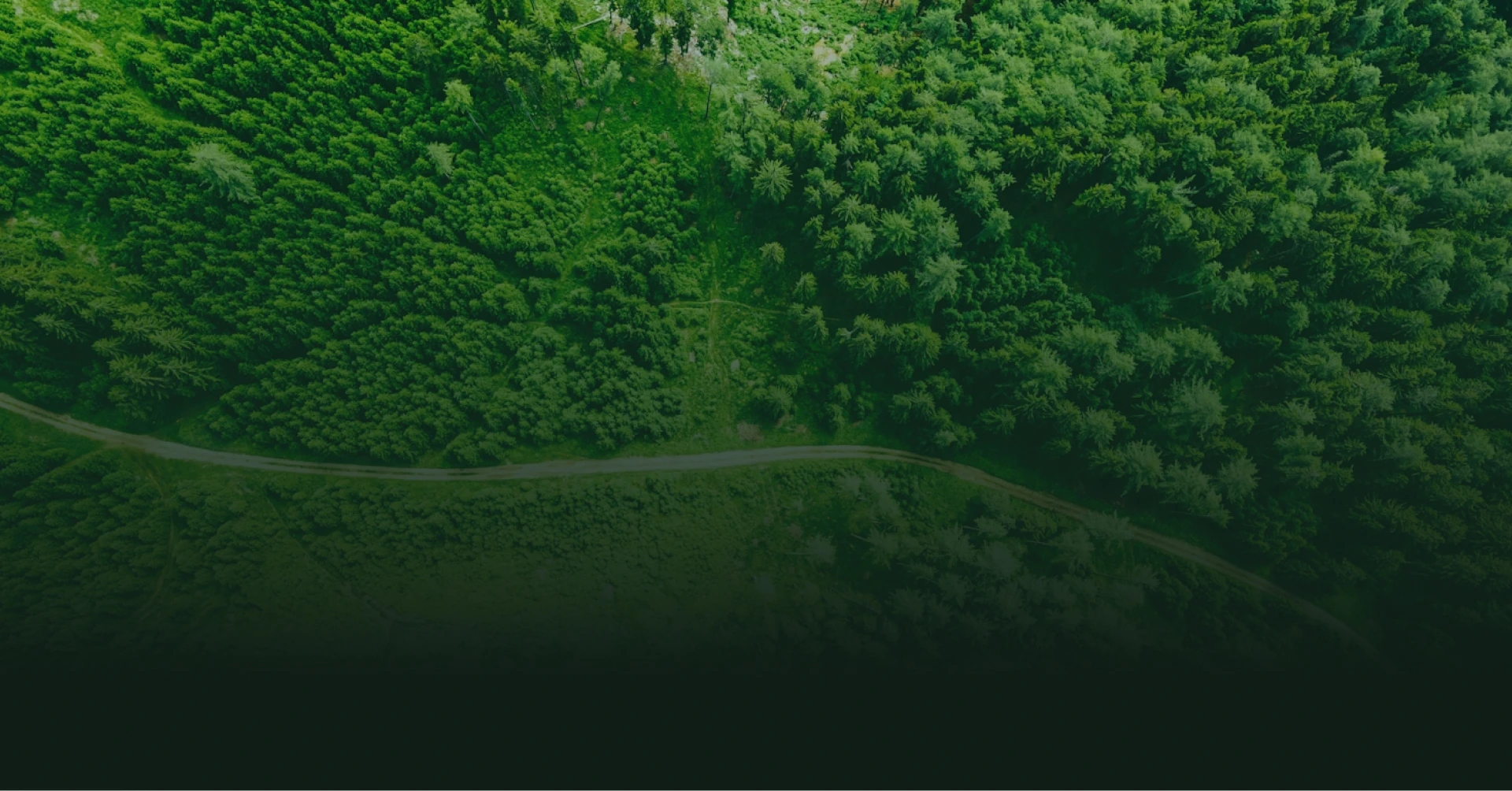 Green landscape representing sustainable and eco-friendly living